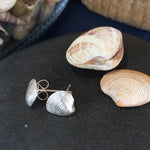 Load image into Gallery viewer, Venus Clam Stud Earrings