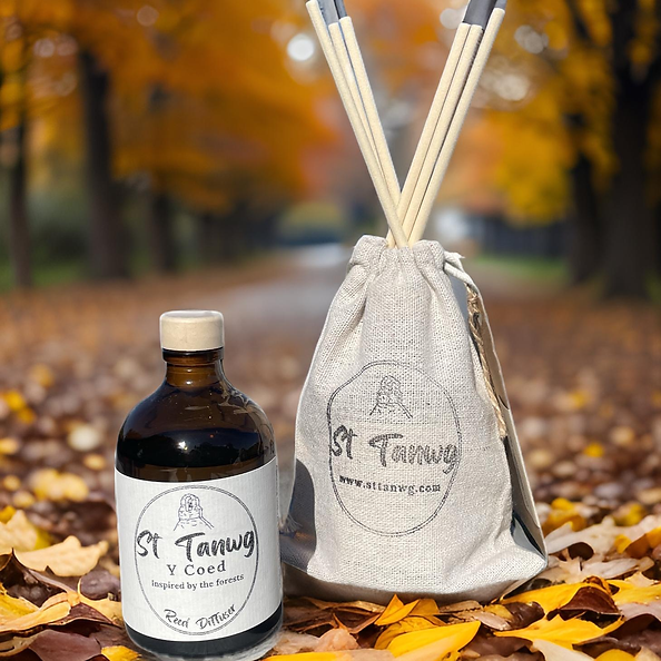 St Tanwg -Candles & Room Diffusers from Laura