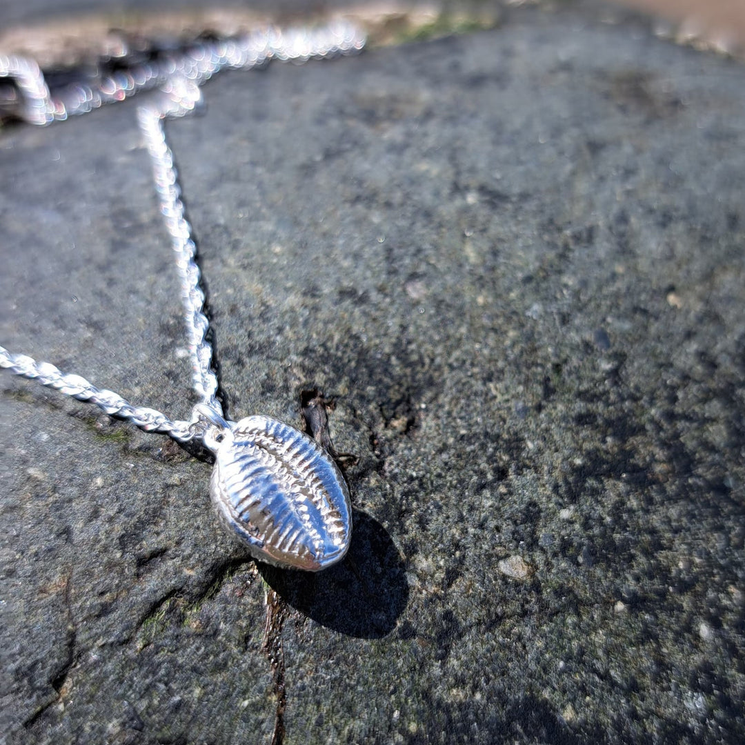 Cowrie Shell Necklace, Llandanwg Silver