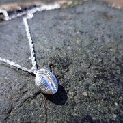 Cowrie Shell Necklace, Llandanwg Silver