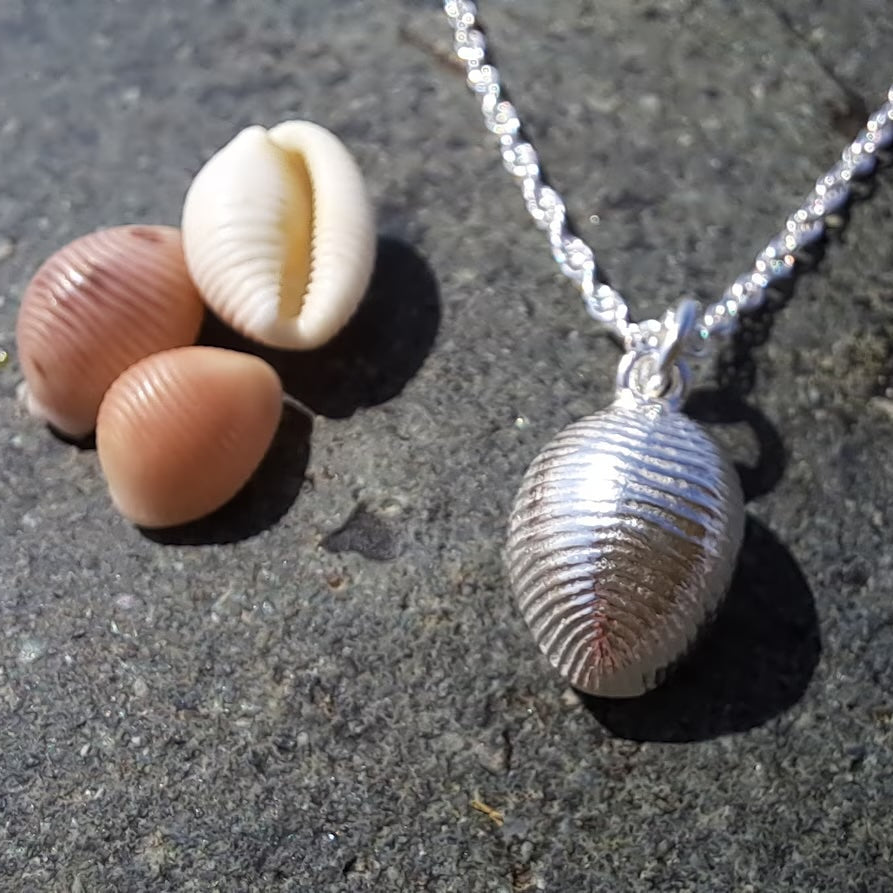 Cowrie Shell Necklace, Llandanwg Silver