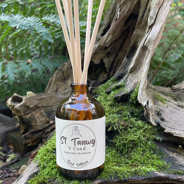 Y Coed (The Forests) Reed Diffuser, St Tanwg