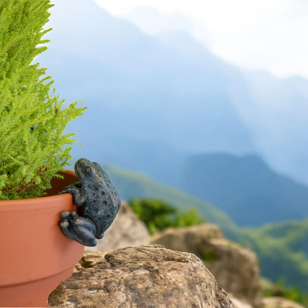 Frog Pot Hanger