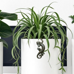 Load image into Gallery viewer, Gecko Pot Hanger
