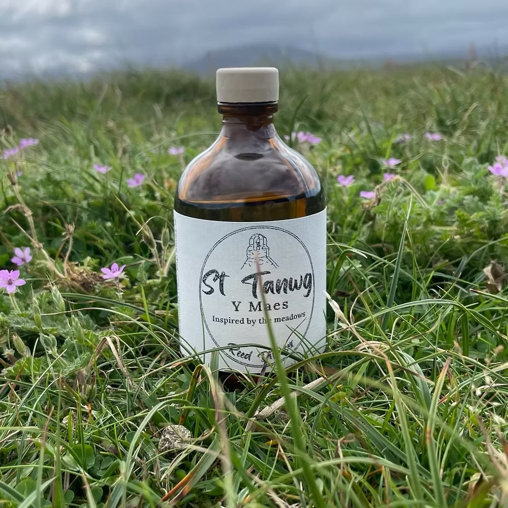 Y Maes (The Meadows) Reed Diffuser, St Tanwg