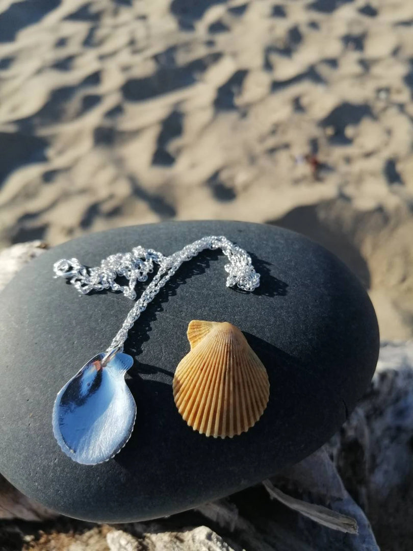 Llandanwg Silver Shell Pendant VARIGATED SCALLOP Shell